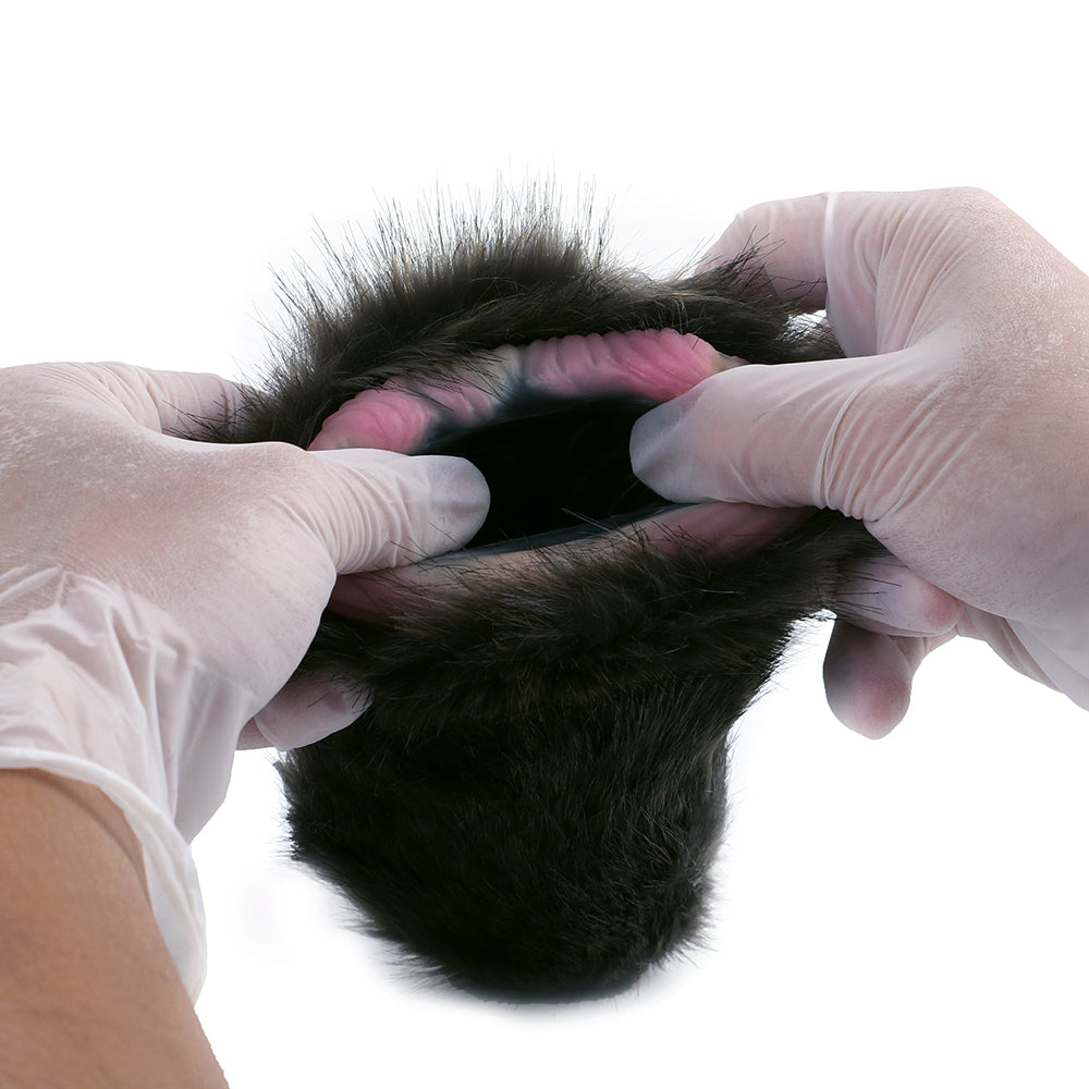 Zwarte Kat Pocket Pussy Met Plooistructuur