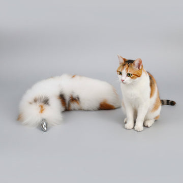 Cat Tail Butt Plug Kitten Cosplay Oorenset
