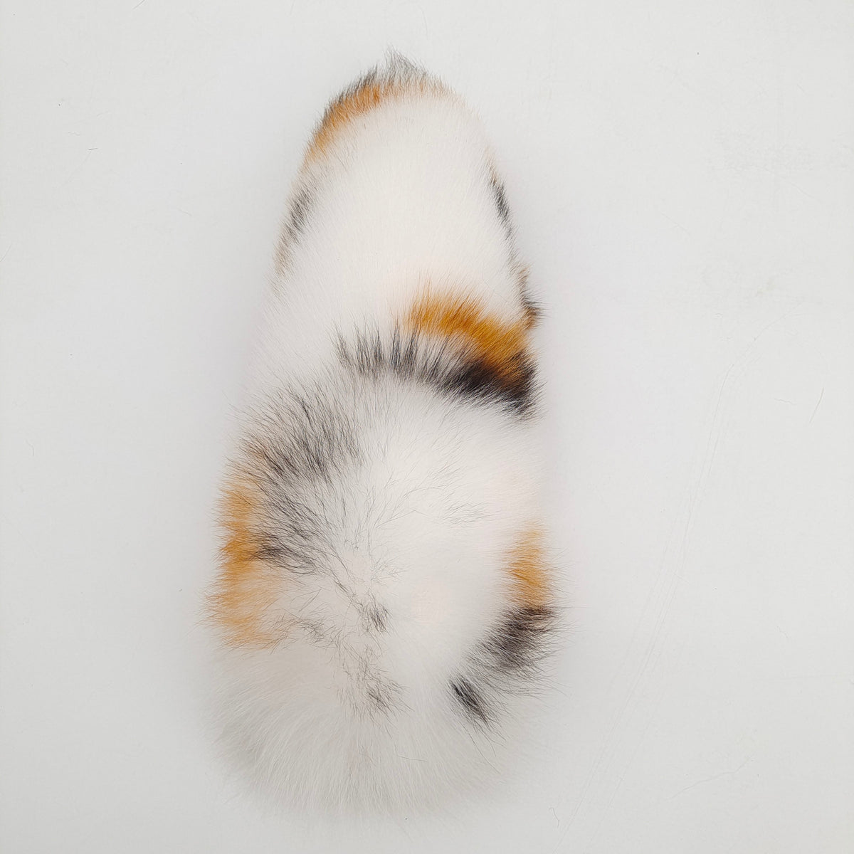 Cat Tail Butt Plug Kitten Cosplay Oorenset