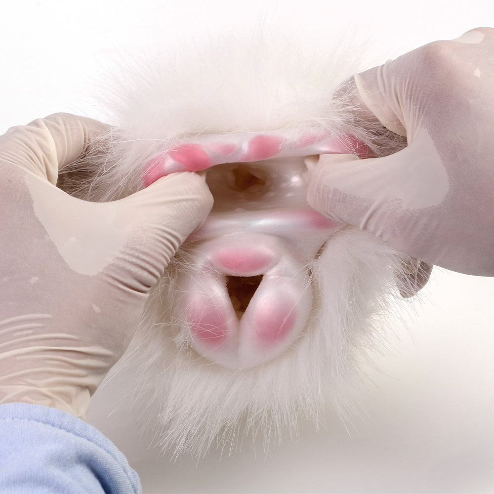 Witte Cavia Pocket Pussy Met Dubbele Ingang