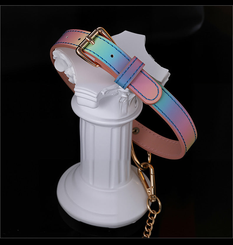 BDSM Halsband Met Riem En Leash Voor Rollenspel