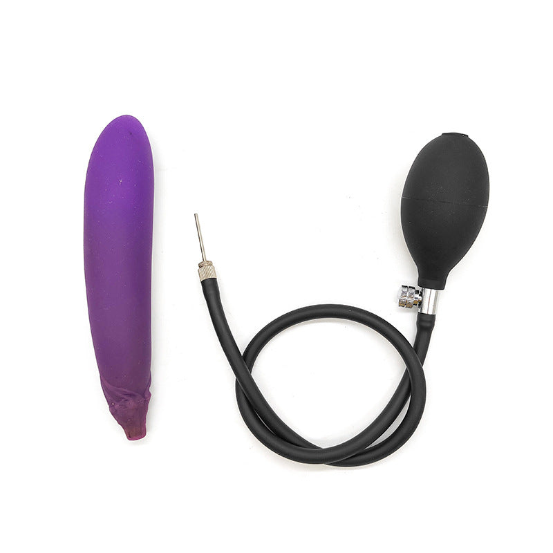Paarse Aubergine Inflatable Plug Met Silicone