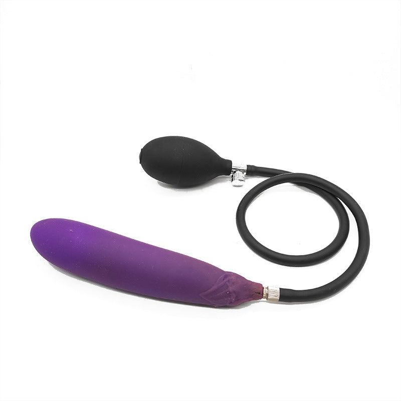 Paarse Aubergine Inflatable Plug Met Silicone