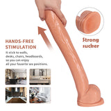 Charger l&#39;image dans la galerie, 16 inch Dildo Extra Lange Grote Dildo